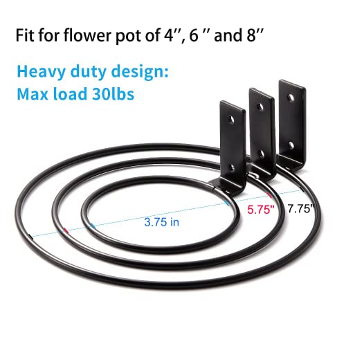 Plant Holder Ring 6 Inch Wall Mounted, 6 Pack Flower Pot Hangers Metal Plant Stand Hanging Bracket Basket Hooks #TOP3