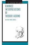 Feminist Interpretations of Theodor Adorno (Re-Reading the Canon)