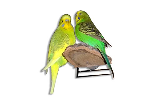 Vogelgaleria - Lote de 3 placas de corcho para jaula de pájaros, juguete para pájaros