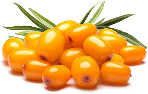 US Organic Sea Buckthorn Berry (Fruit) Oil, Supercritical CO2 extracted, USDA Certified Organic,100% Pure Virgin, Unrefined in Amber Glass Bottle, Face, Hair, spot treatment, Anti Aging, 1 oz (30 ml) — view 3
