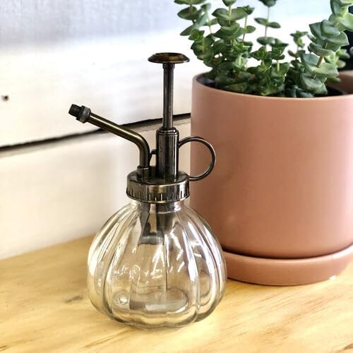 DecorBrio - Vintage Style Transparent Glass Pumpkin Bottle Sprayer Watering Can Plant Mister (Red) (B0CJV7HBH1) Amazon Price History, Amazon Price Tracker