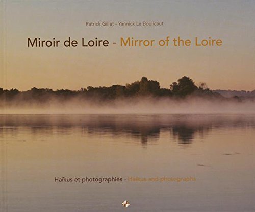 Miroir de Loire / Mirror of the Loire