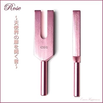 音音♡ Amazon.co.jp: 音叉 チューナー 4096 Hz おんさ ラバーマレット