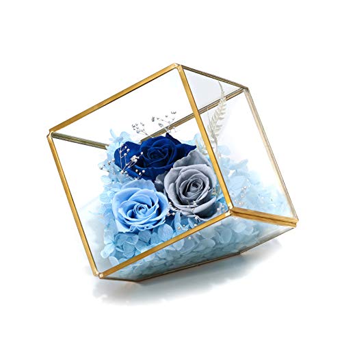 Hoomna Forever Blue Rose konservierte Blumen - Ewige Blume in quadratischem Glas Blumenzimmer - Muttertag Geburtstag Geschenke für Mama Oma - nie verblühende Rose - Heimdekoration Cover