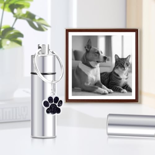 Asaisimg wasserdichte Urnen für Hunde, Asche, kleine Urne, Gedenkanhänger, Schlüsselanhänger, Zylinder, Katze, Hund, Urne für Haustierasche, Einäscherung, Andenken, Asche, Schmuck, 3 Stück