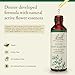 Bach Original Flower Remedies, Holly - Goodwill Towards Others - Natural Homeopathic Flower Essence for Emotional Balance - Vegan, Gluten Free, Sugar Free - 20mL Dropper