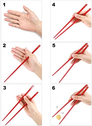 loopki Fiberglass Chopsticks, Reusable Chopsticks Set Dishwasher Safe, 5 Colors Chop Sticks with Non-Slip Design (Multicolor)