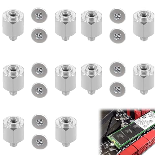 Juego de Tornillos de Ordenador,Tornillos para Ordenador SSD,Juego de Tornillos M.2 SSD,Juego de Tornillos M.2 SSD para la Montaje,Kit de Montaje para SSD M.2 NVMe,M.2 SSD NVMe Tornillos Juego PC