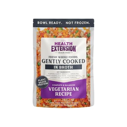 Health Extension Gently Cooked Grain-Free Vegetarian Formula Dog Food, Human-Grade & Shelf-Stable with Superfoods, Supports Digestion, Immunity, Skin & Coat, 9 oz Pouch (Pack of 1)
