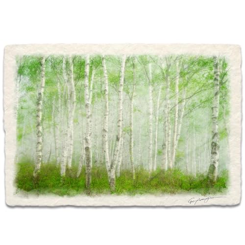 Natural Memories  G G  CeA A[gpl i  Ǌ| åGʐ^ uؘRƖ̒̐V΂̔сv plt 48x33cm X  