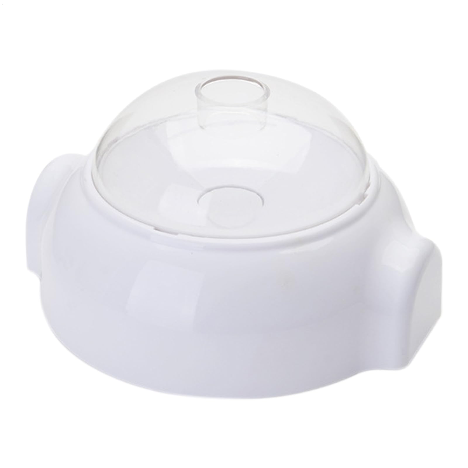 Mangeoire lente pour chien glouton anti-ballonnement