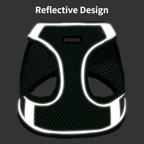 AIITLE Step in Dog Harness and Leash Set - No Pull Escape Proof Vest Harnesses with Soft Mesh and Reflective Bands, Adjustable Pet Outdoor Harnesses for Small and Medium Dogs Green M - Image 2