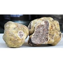 White Truffle Mushrooms Spores - Heirloom - GMO Free