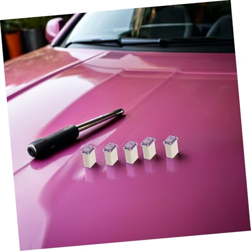 Fusibles Micro Cuadrados para Coche Amosfun 10 piezas para Automóviles 5