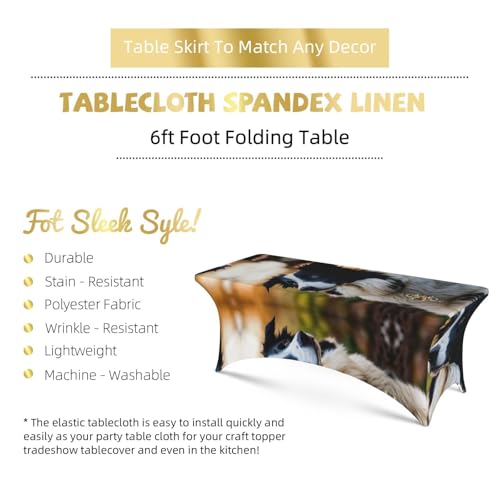 Nappe extensible de protection lavable pour effacer les taches - 6