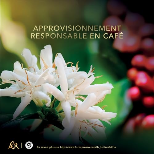 L'Or - Capsules de Café Expresso Intensité 5 - Compatibles Nespresso (100 Unités, 10x10) - Café à la Maison et au Bureau