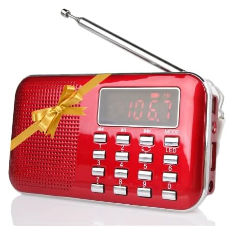 Raddy RF23 Radio Portable Rouge Cover