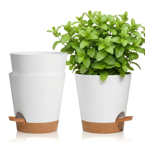 T4U Selbstbewässerungstopf für Fensterbank und Küche für Kräuter Basilikum Petersilie Schnittlauch usw. geeignet für den Innen- und AußenbereichweißØ16.5cm 3er-Pack