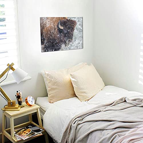 Moymtep OPUOICN_428574881-WHITE-48 American Bison Or Buffalo Resting In A Snow Storm Canvas Wall Art Gallery Artwork thumb #6