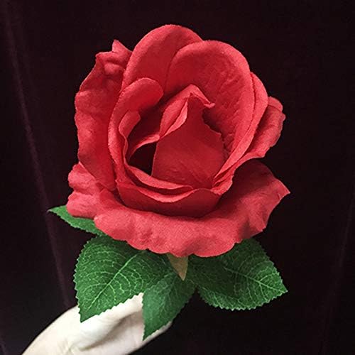 MOMOMAGE Light Rose (Remote Control) Magic Tricks Stage Close up Magic Mentalism Illusions Gimmick Props Magicians Bar Wedding Party