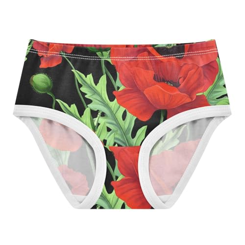 Cotton Toddler Underwear Floral Red Poppy Flowers Green Leaves Black Little Girl Panties Bright Briefs Undies Kids 2t