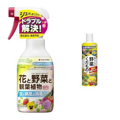 yZbgzZFw| EEۍ xjJO[VXv[ 250ml+엿 xWtt800ml