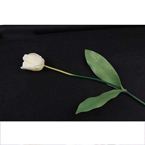 Cenário fotográfico LEDMOMO, fundo de fotografia de cor sólida não tecido, pano de fundo fotográfico