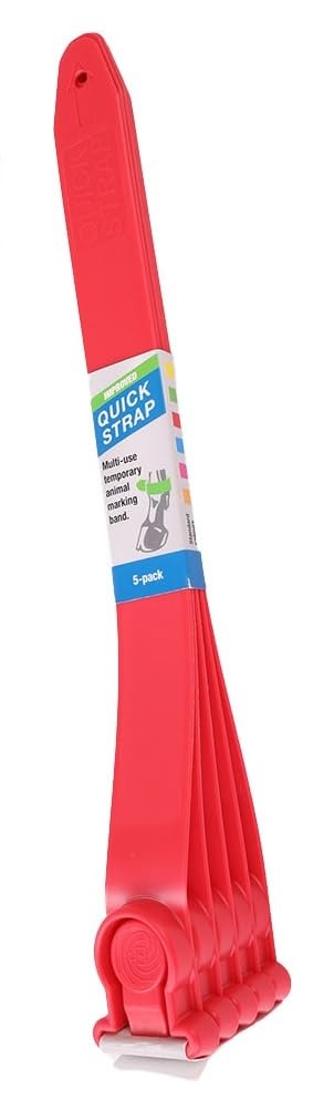 Kerbl Fesselbänder Quick Strap Shoof – 5 Stück Rot (Maße 34 x 3 cm, Gewicht 0,22 kg, Fellpflege) 20190