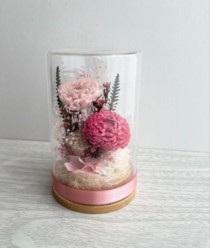 vU[uht[RpNg KXP[X e _A @ 