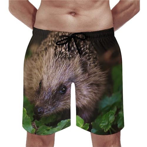 Shorts de bain homme hérisson anti-irritation pour nager à l'aise