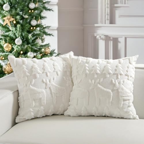 Sunshine smile 2er Set Samt Kissenbezüge Weicher,Kissenbezug...