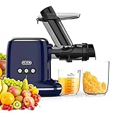 Entsafter Slow Juicer, Fezen Kauender Entsafter mit Breitem Einfüllschacht, Obst-und Gemüsesaft-Testsieger, Sellerieextraktor mit Bürste, Leicht zu Reinigen, Rücklauffunktion, BPA-frei (Blau)