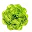 Fluorescent green