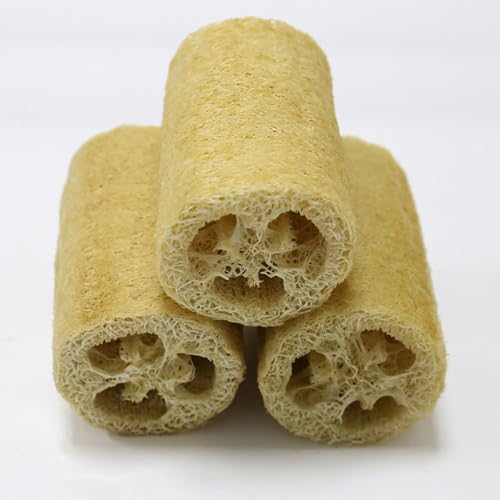 REVGOZU 4 "VR_Ɨpw`}(x[W) M􂢁E􂢁E􂢁EC p{fBX|W XNuXLPA XpV[ VRi Y