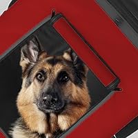 Tiggo VS Pets L Hundeanhänger groß Fahrradanhänger ca. 250L Volumen für mittelgroße und große Hunde bis 35 kg, Klappbar – Ansicht 6