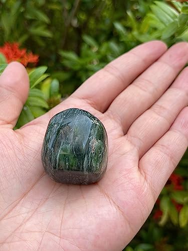 Image of GAF TREASURES 1 /2 LB Nephrite Jade Tumbled Stones, Polished Nephrite Jade Gemstone, Nephrite Jade Healing Crystals (Nephrite Jade)
