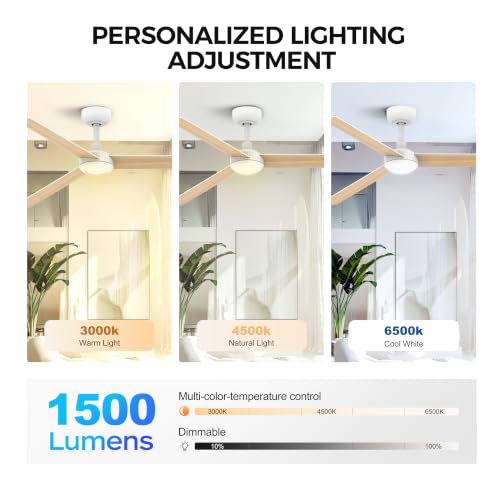 Image of TALOYA 52 inch Ceiling Fan,White Finish,6-Speed,Dimmable,Noiseless,Reversible DC Motor,3 blades