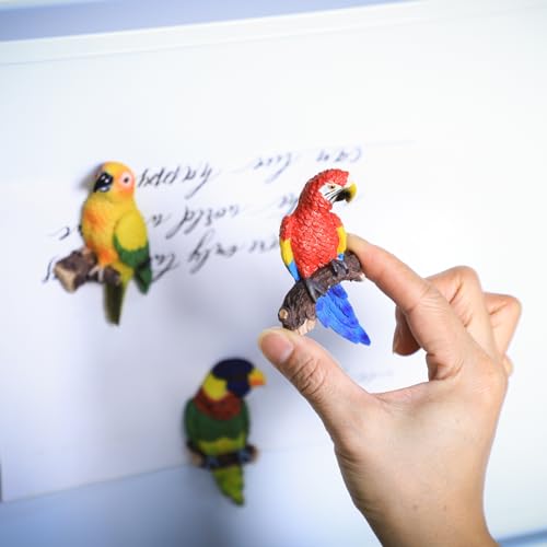 5 imanes de loro decorativos para refrigerador miniatura 4
