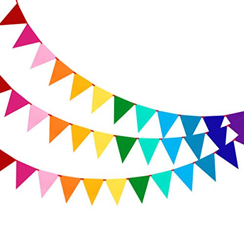 Carnival Bunting Pennant Banner Birthday Party Decorations, Rainbow #TOP3