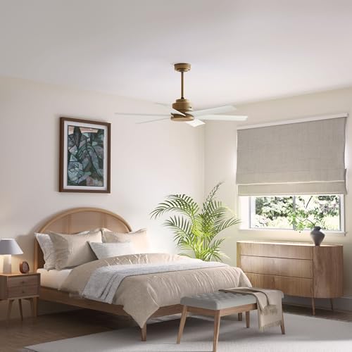 Image of Hunter 52 inch Kennicott Indoor /Outdoor Ceiling Fan, Wall Control, Luxe Gold