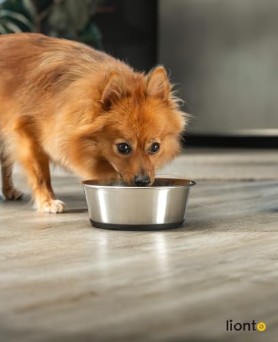 lionto Futternapf aus Edelstahl, 950 ml, lebensmittelechter Hundenapf mit rutschfestem Silikonboden, rostfreier Wassernapf für Hunde und Katzen, spülmaschinenfest