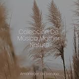 Amanecer de Verano
