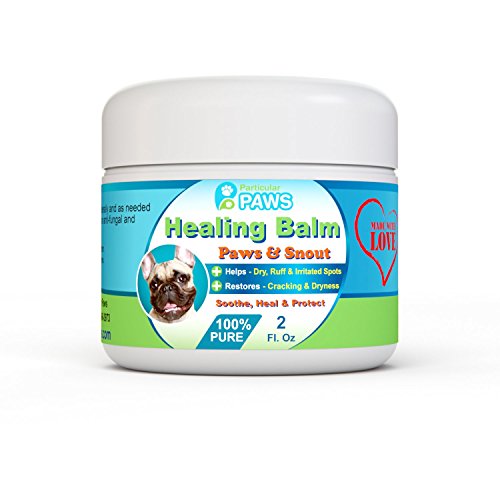 Dog Healing Balm for Paws and Snout - All Natural - Aloe Vera, Tea Tree Oil, Cocoa Butter and Coconut Oil - 2 oz Jar