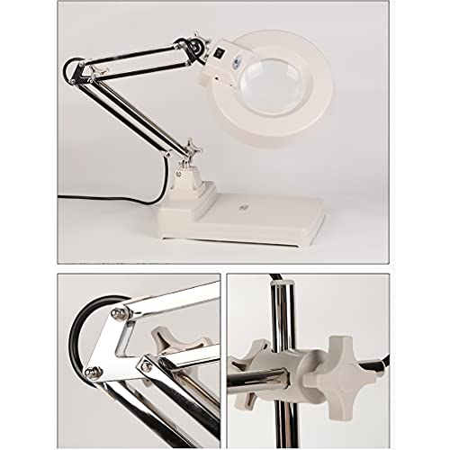 Loupe de lecture avec lumière LED et support réglable Wisdom
