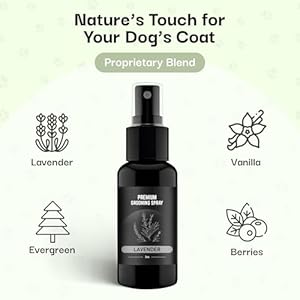 605Products | Premium Dog Cologne and Odor Eliminator – Long Lasting Dog Perfume Made with Essential Oils – Spray Deodorant for Smelly Dogs, Dog Grooming Spray 3pack (Lavender, 2oz Spray Bottles)