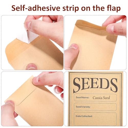 Enveloppes en papier kraft pour petits objets : la solution de tri pratique et anti-perte