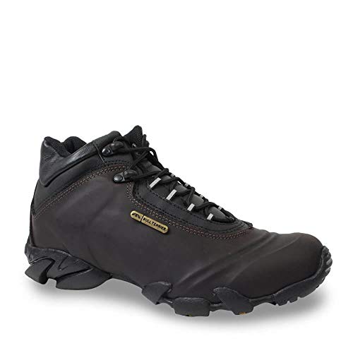 tenis para caminhada, esporte e trilha, Bull Terrier