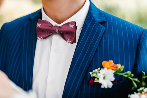 Image of HISDERN Bow Ties for Men Self Tie Animal Bowties Pocket Square Woven Silk Fun Bowtie Handkerchief Set for Wedding Party