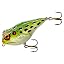 Leopard Frog