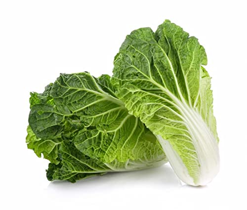 Golden Hills Farm MICHIHILLI Cabbage Chinese Vegetable BOK Choy 500-533 seeds